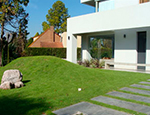 cchico