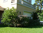 estrada